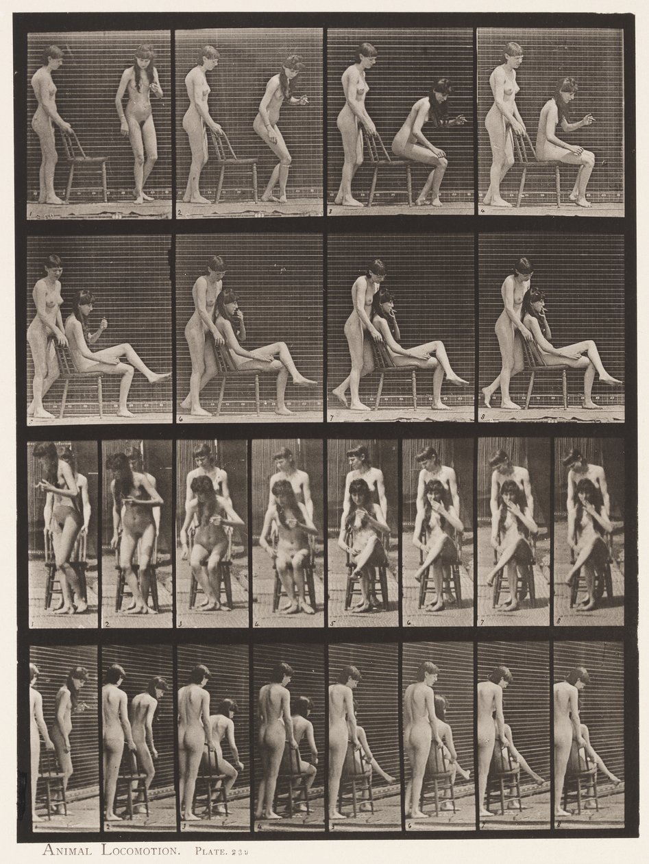 Plade 239. To modeller; Den ene stående, den anden siddende, krydsende ben af Eadweard Muybridge