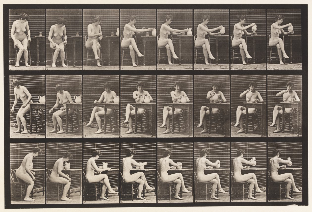 Tallerken 244. Siddende krydsende ben, fyldebæger fra kande af Eadweard Muybridge