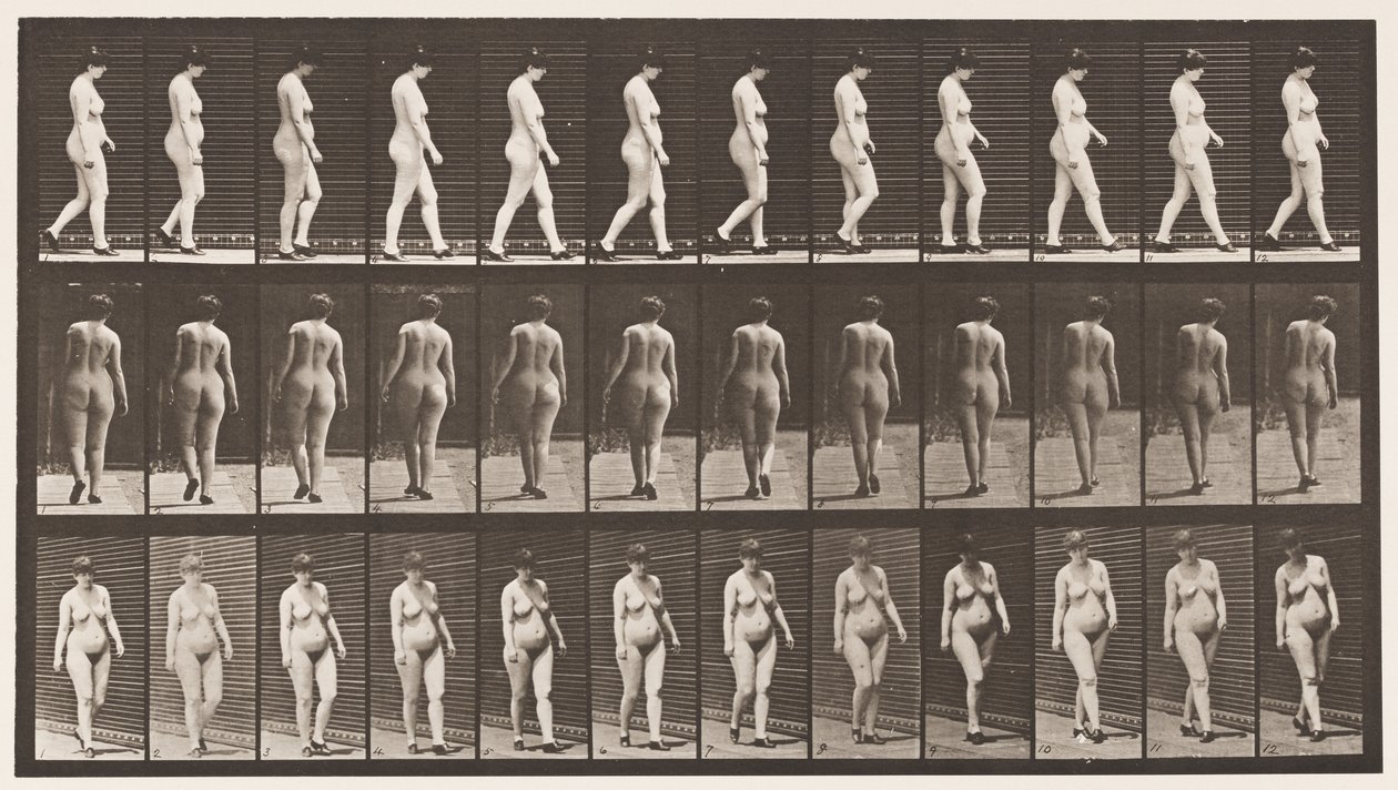 Plade 24. Gå, med højhælede sko på af Eadweard Muybridge