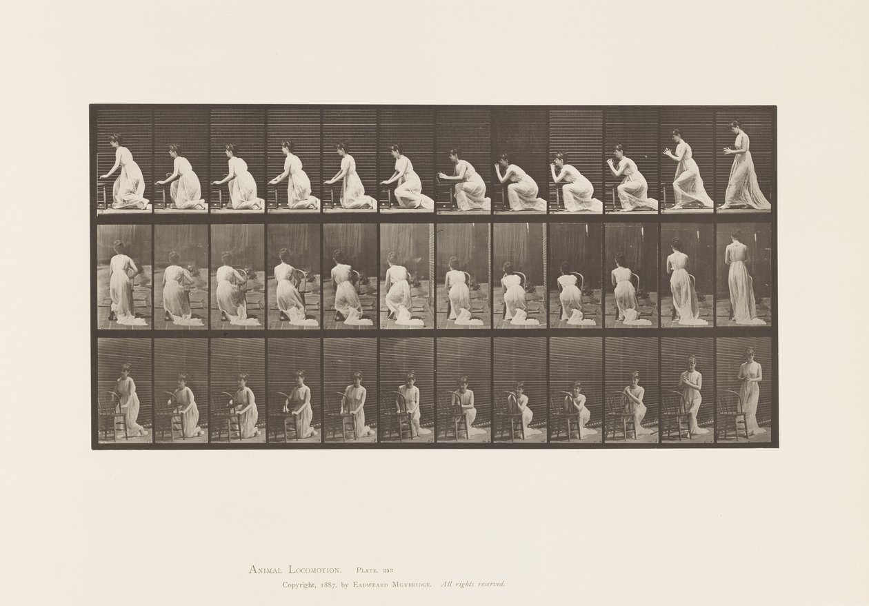 Tallerken 253. Knælende albuer på stolen, hænderne, 1885 af Eadweard Muybridge