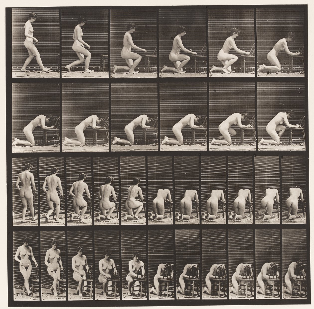 Tallerken 254. Knælende, Albuer på Stol, Hænder spændte af Eadweard Muybridge