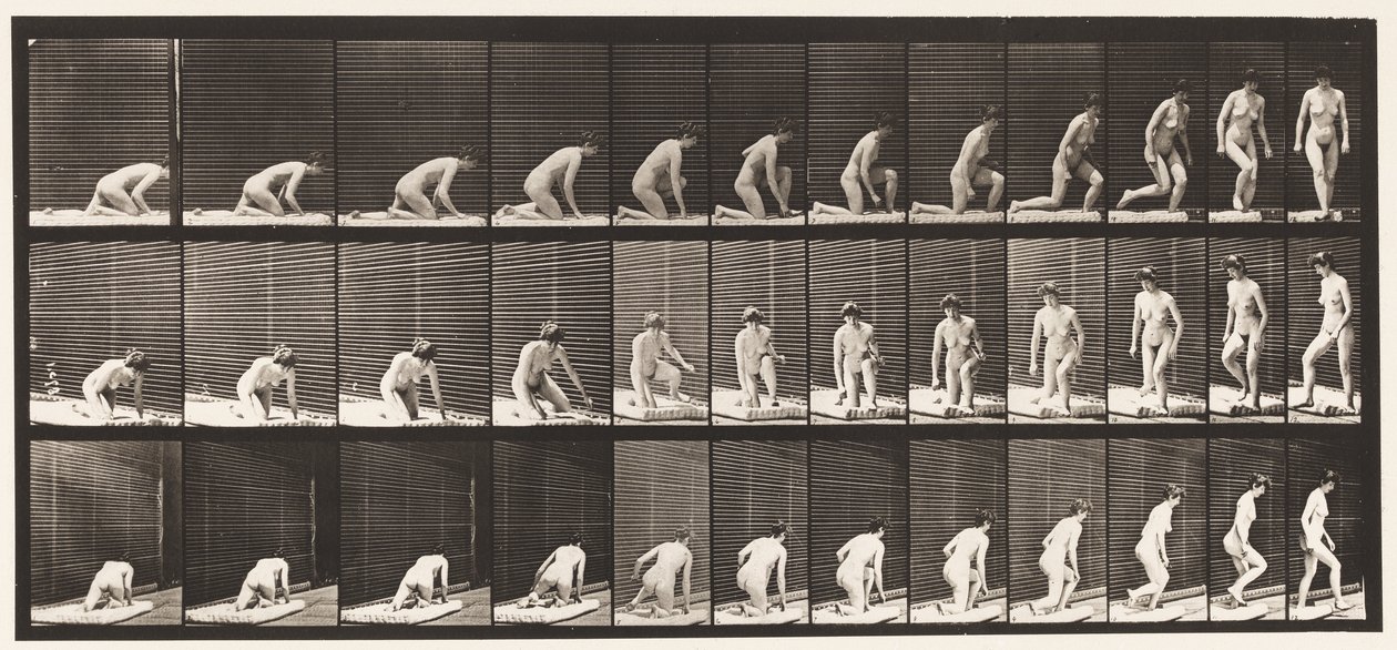 Tallerken 255. Opstår ved at knæle og dreje af Eadweard Muybridge