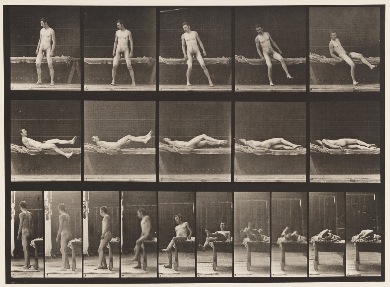 Tallerken 259. Ligger på en sofa og vender om på siden, 1885 af Eadweard Muybridge