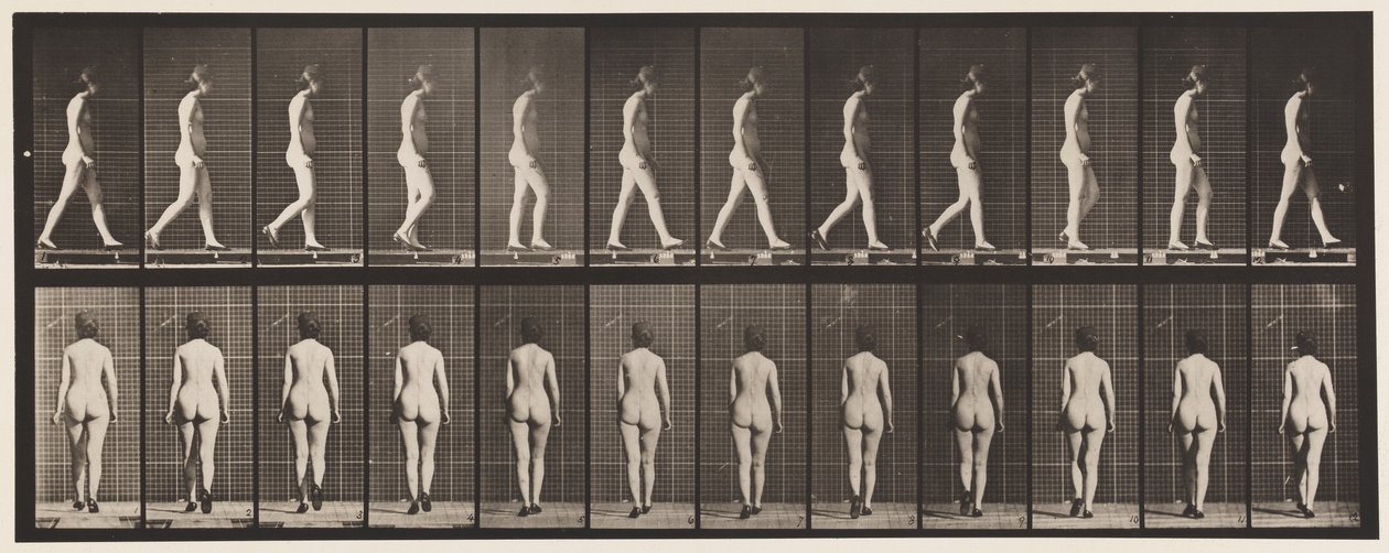 Plade 25. Gå, med højhælede sko på af Eadweard Muybridge