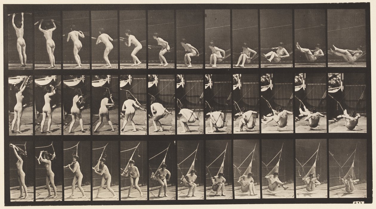 Plade 262. At komme ud af hængekøjen af Eadweard Muybridge