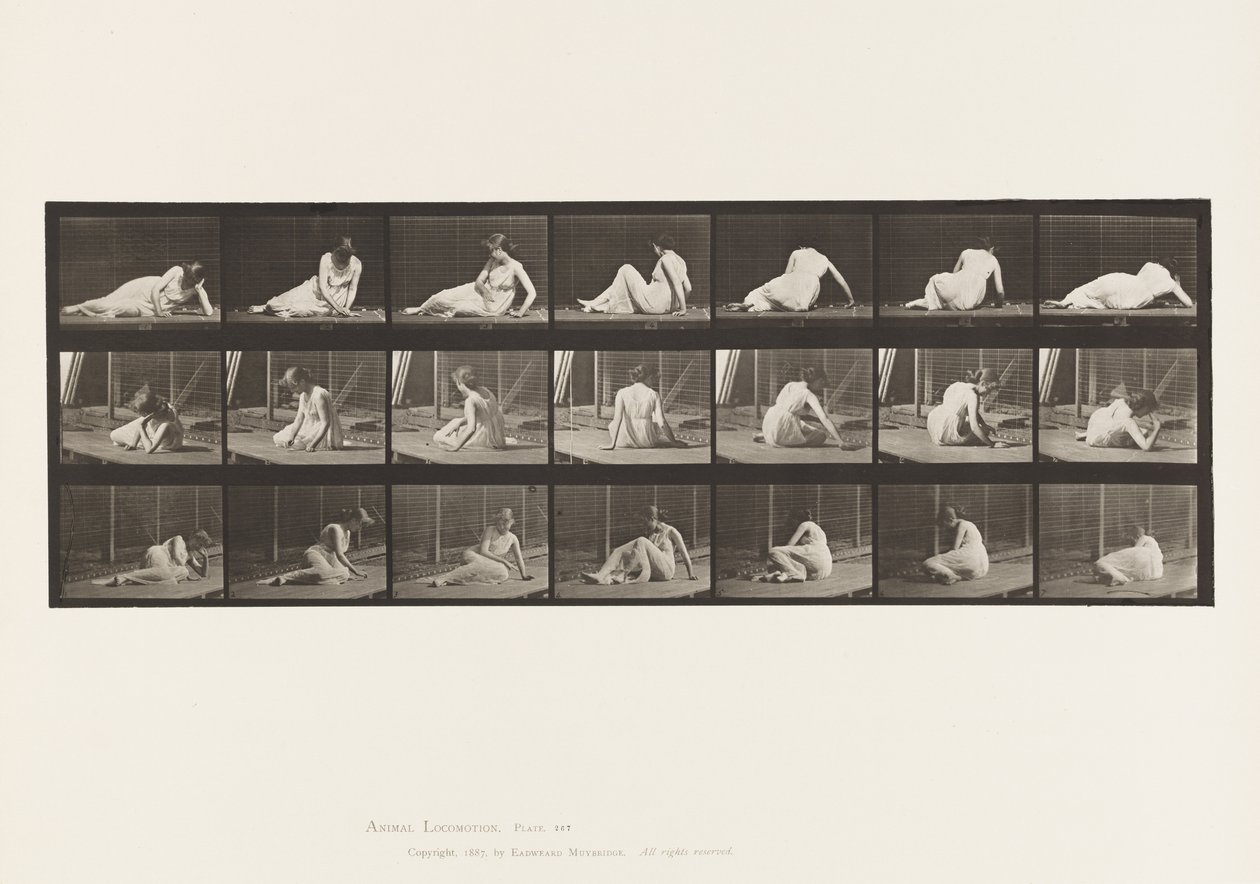Plade 267. Drejning og ændring af position på jorden, 1885 af Eadweard Muybridge