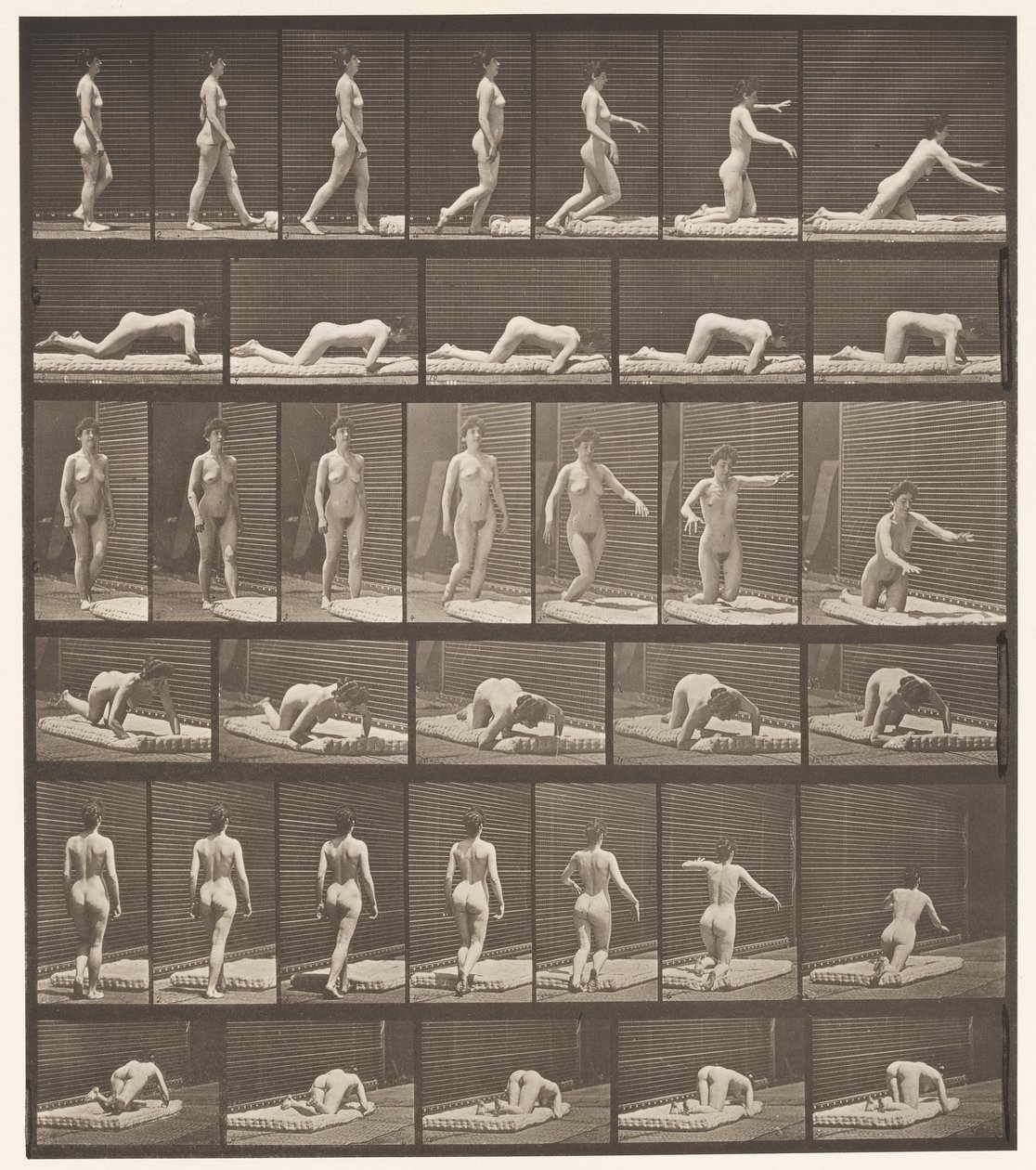 Tavle 272. Snubler og falder på jorden af Eadweard Muybridge