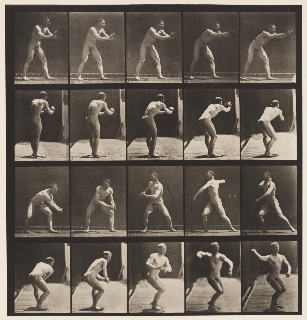 Plade 282.Base-ball; Fangst og Kast, 1885 af Eadweard Muybridge