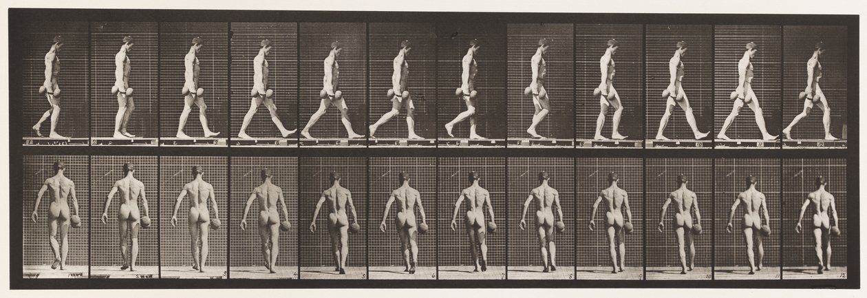Plade 28. Gående, bærende 50 lb. Dumb-Bell i højre hånd, 1872-1885 af Eadweard Muybridge