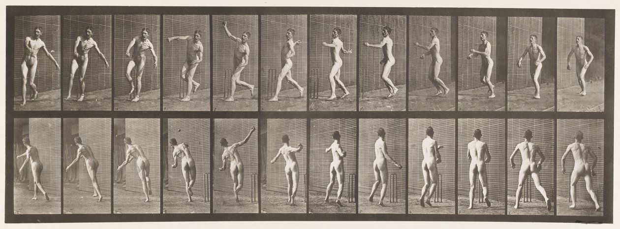 Tallerken 290.Cricket; Over Arm Bowling, 1885 af Eadweard Muybridge