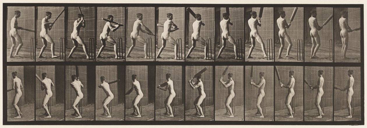 Tallerken 292.Cricket; Batting; Tilbage ud, 1885 af Eadweard Muybridge