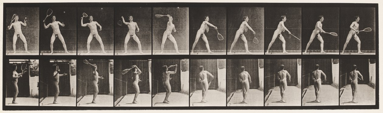 Plade 294. Plænetennis; Betjener af Eadweard Muybridge