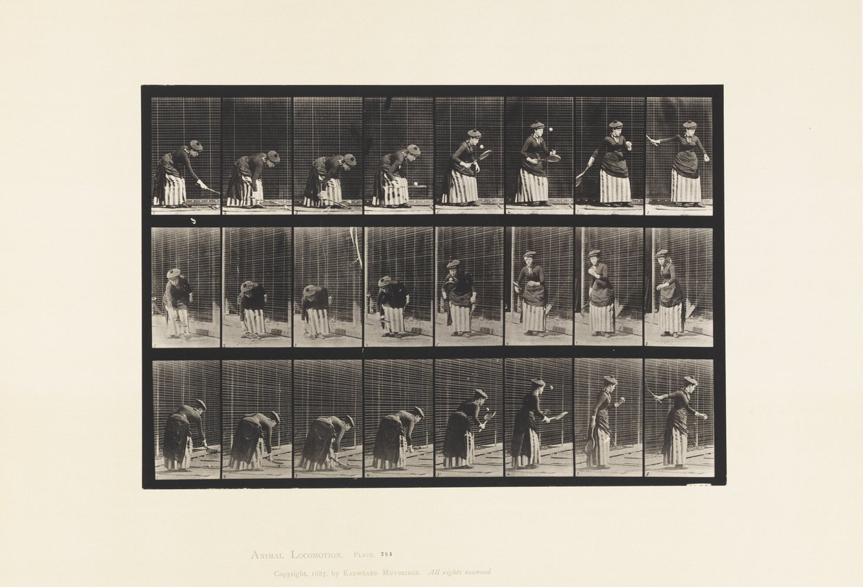 Plade 295. Plænetennis; Betjener af Eadweard Muybridge