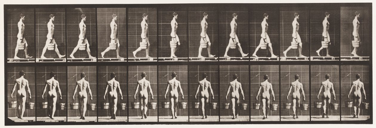 Plade 29. Gående, bærende spand vand i hver hånd, 1872-1885 af Eadweard Muybridge
