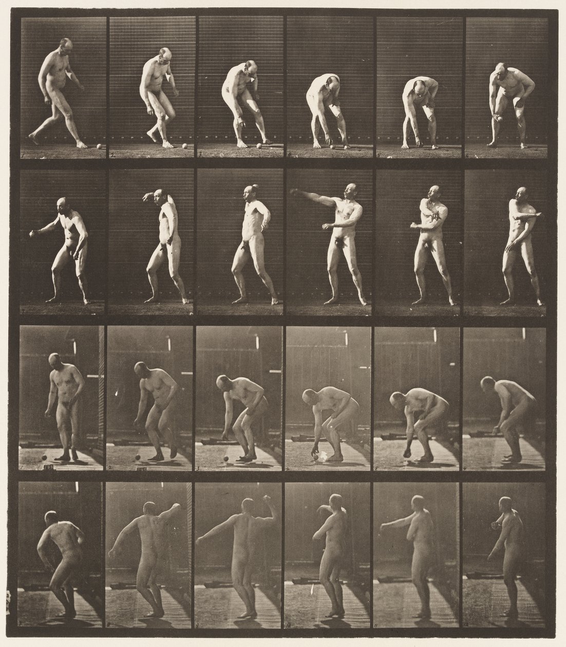 Tallerken 302. At tage en bold op og kaste den, 1885 af Eadweard Muybridge