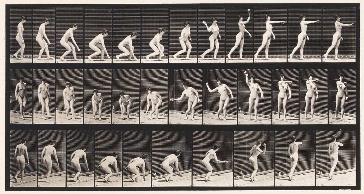 Tallerken 303. At samle en bold op og kaste den, 1872-1885 af Eadweard Muybridge