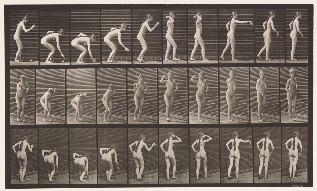 Plade 304. Samler en bold og kaster den af Eadweard Muybridge