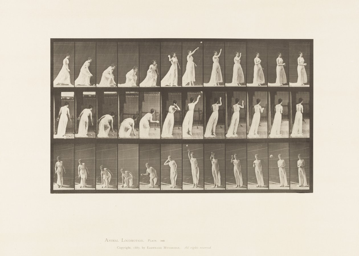 Tallerken 305. At tage en bold op og kaste den, 1885 af Eadweard Muybridge