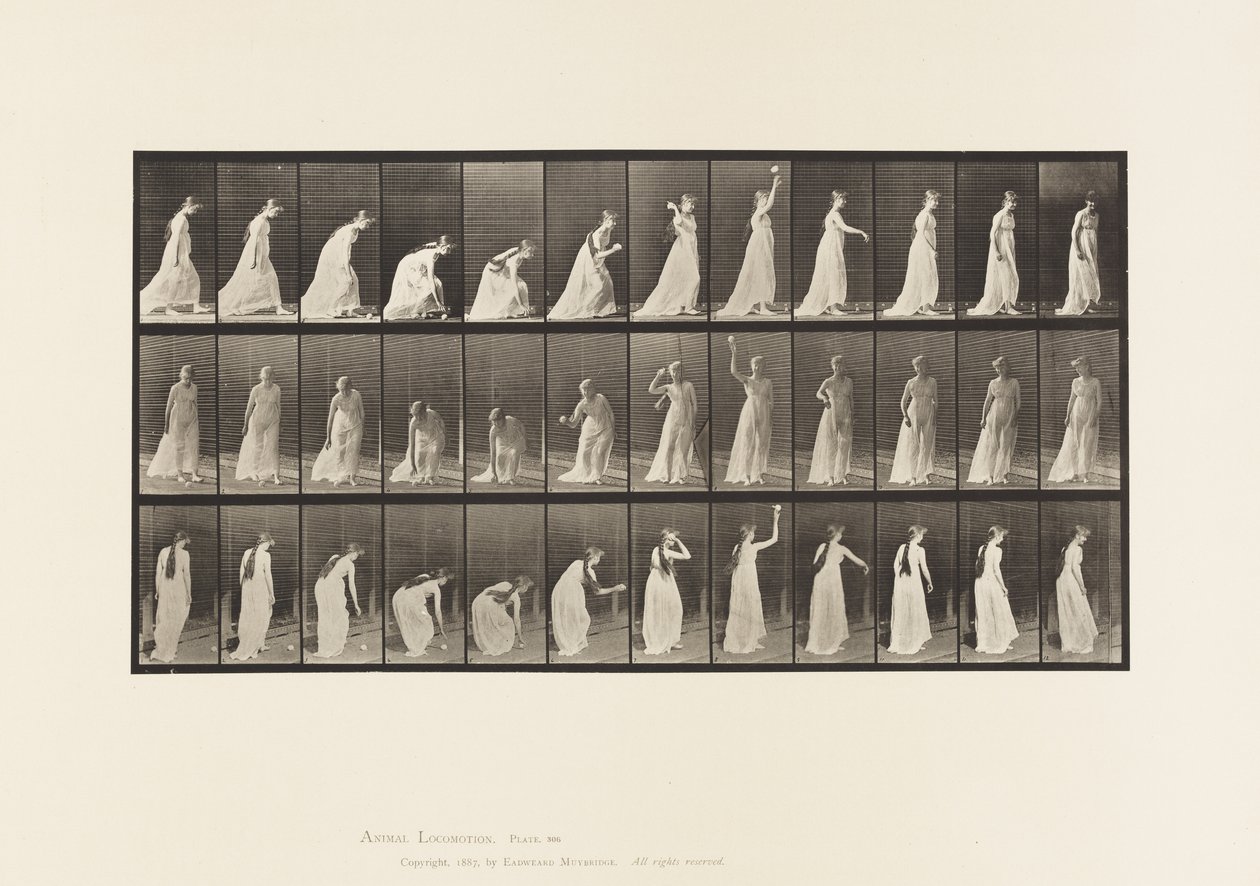 Tallerken 306. At tage en bold op og kaste den, 1885 af Eadweard Muybridge