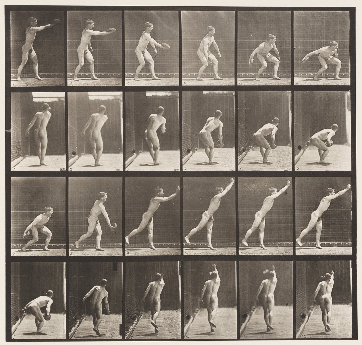 Plade 307. At kaste en jernskive, 1872-1885 af Eadweard Muybridge