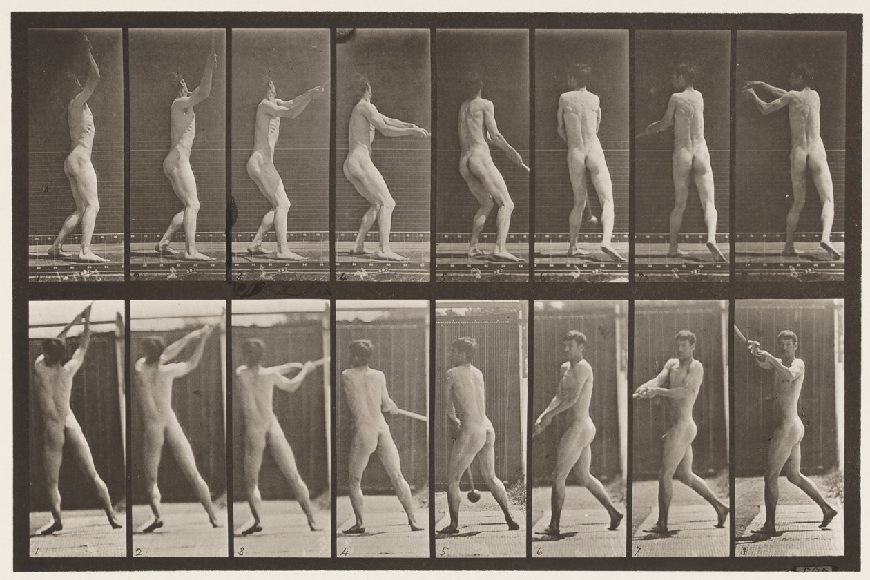Plade 309. At kaste hammeren af Eadweard Muybridge