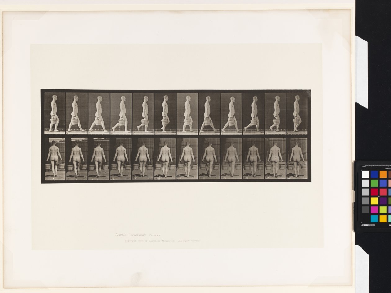 Tallerken 30. Gående, med en spand vand i hver hånd af Eadweard Muybridge