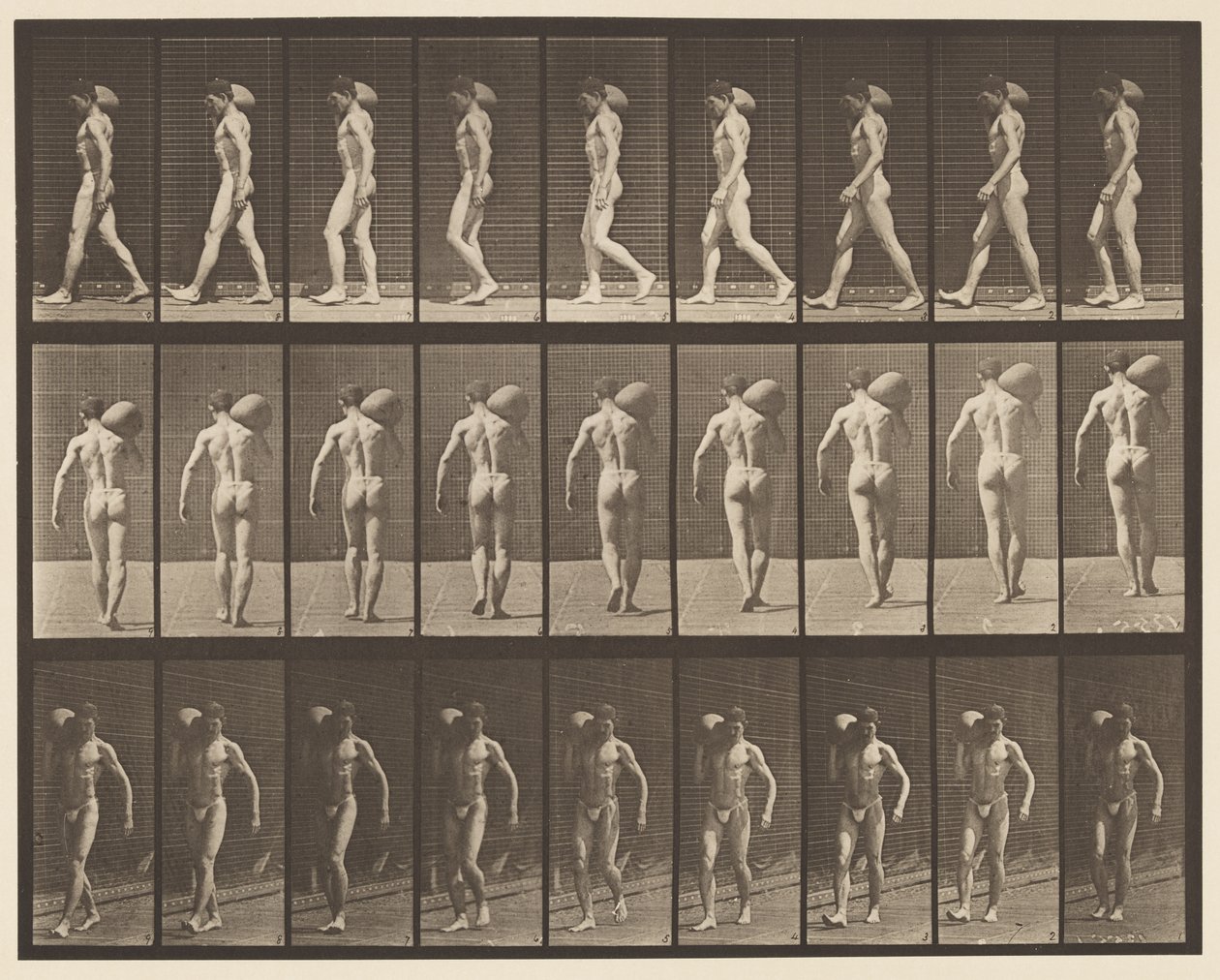 Plade 31. Gående, bærende 75-lb sten på højre skulder af Eadweard Muybridge