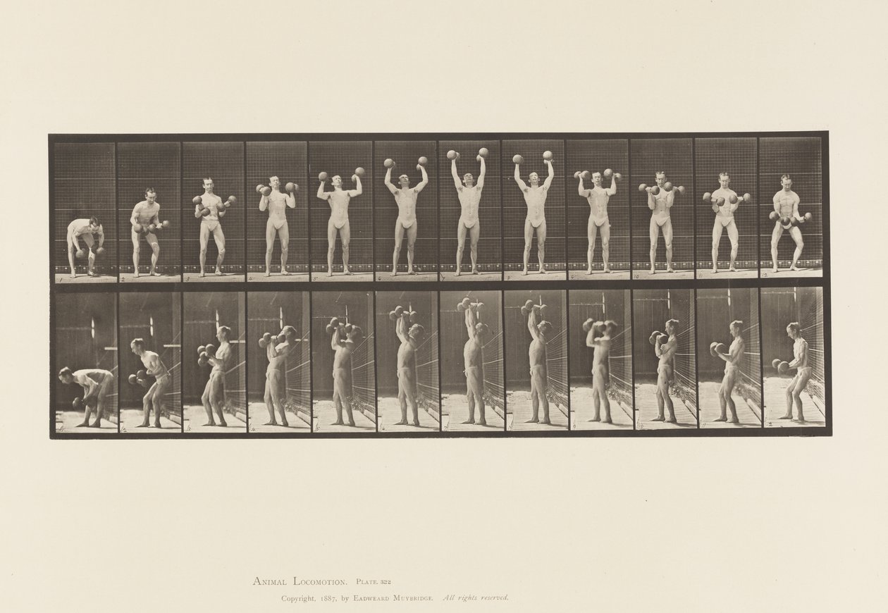 Tallerken 322. Mand løfter håndvægte af Eadweard Muybridge