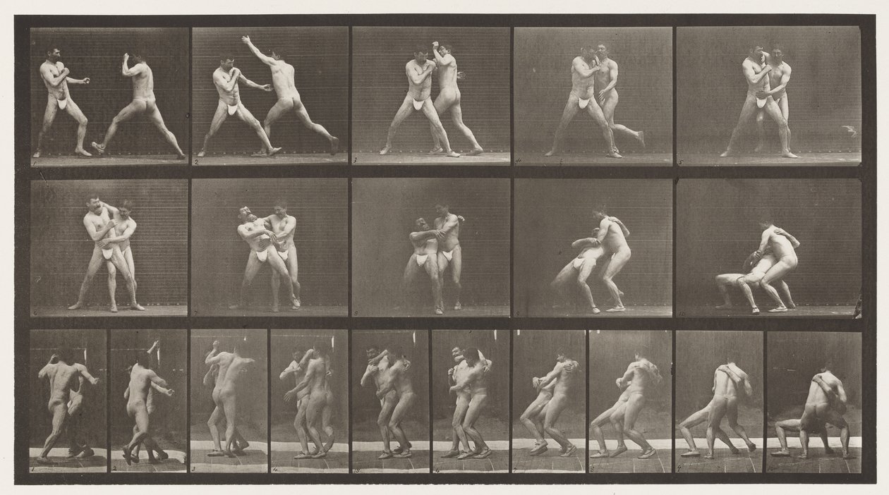 Tavle 331. Boksning; Stop for Cross-baller af Eadweard Muybridge