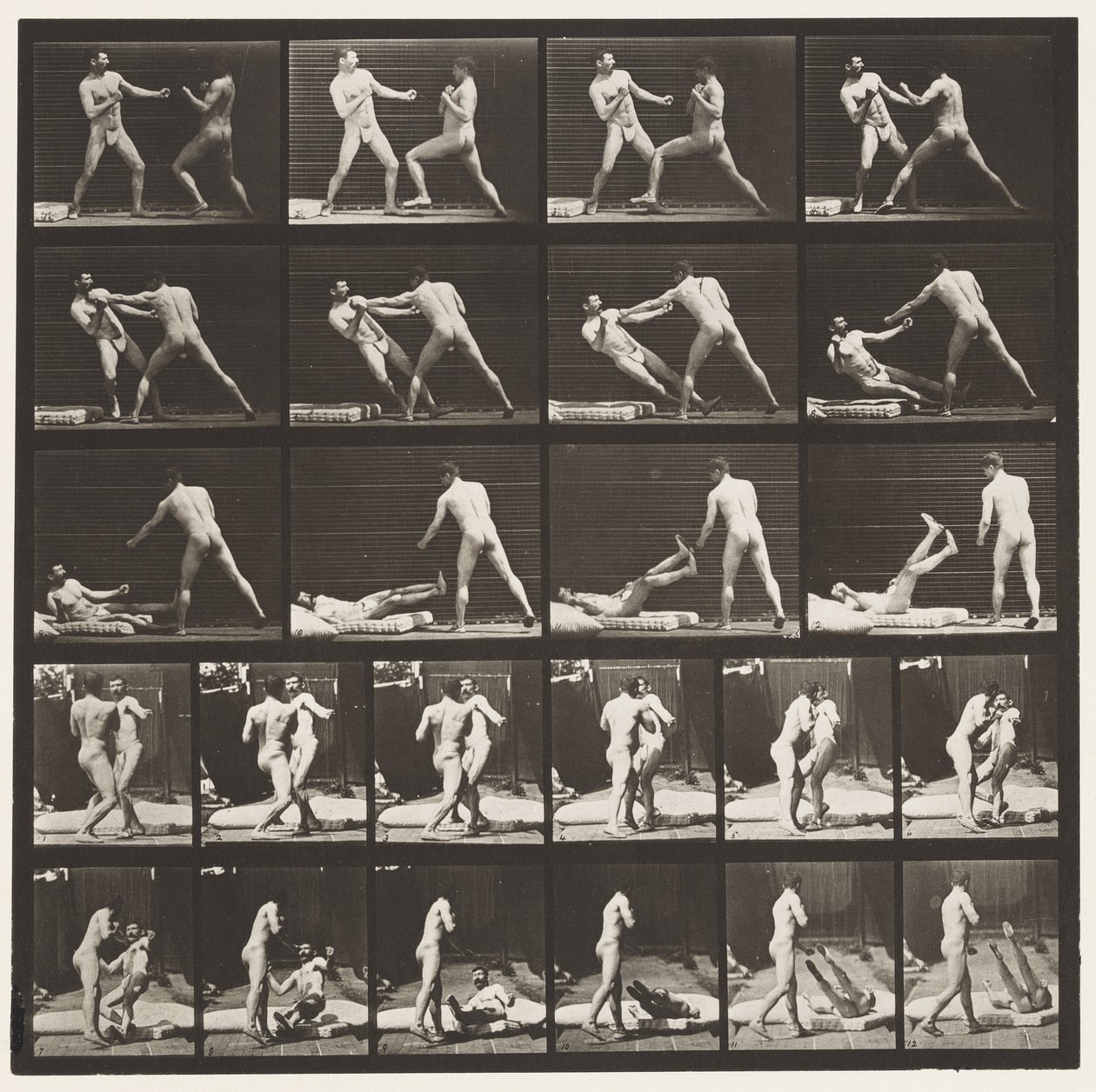 Tavle 333. Boksning; 53 Knocking 52 Down (Sko) af Eadweard Muybridge