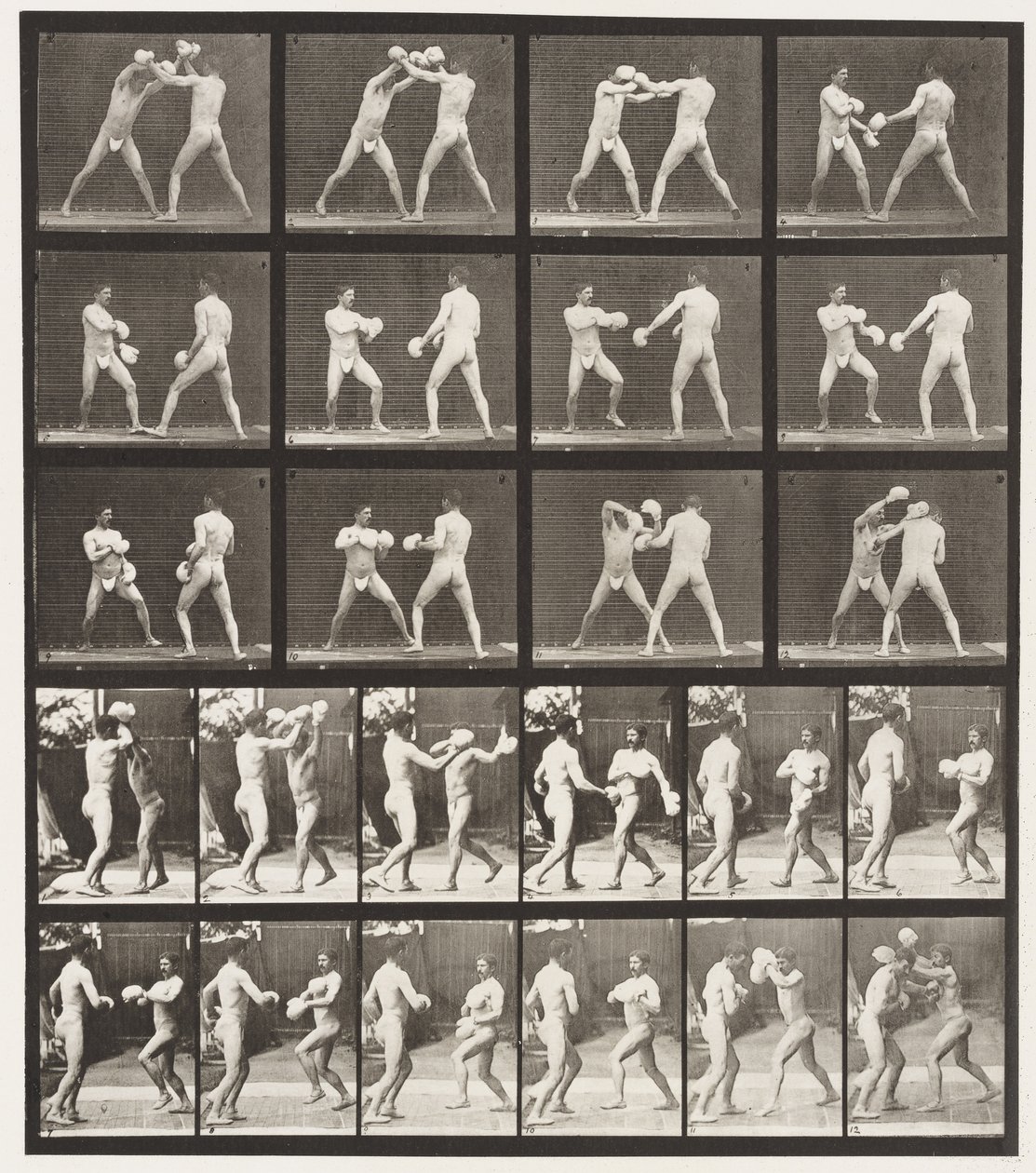 Tavle 334. Boksning; Med handsker (sko) af Eadweard Muybridge