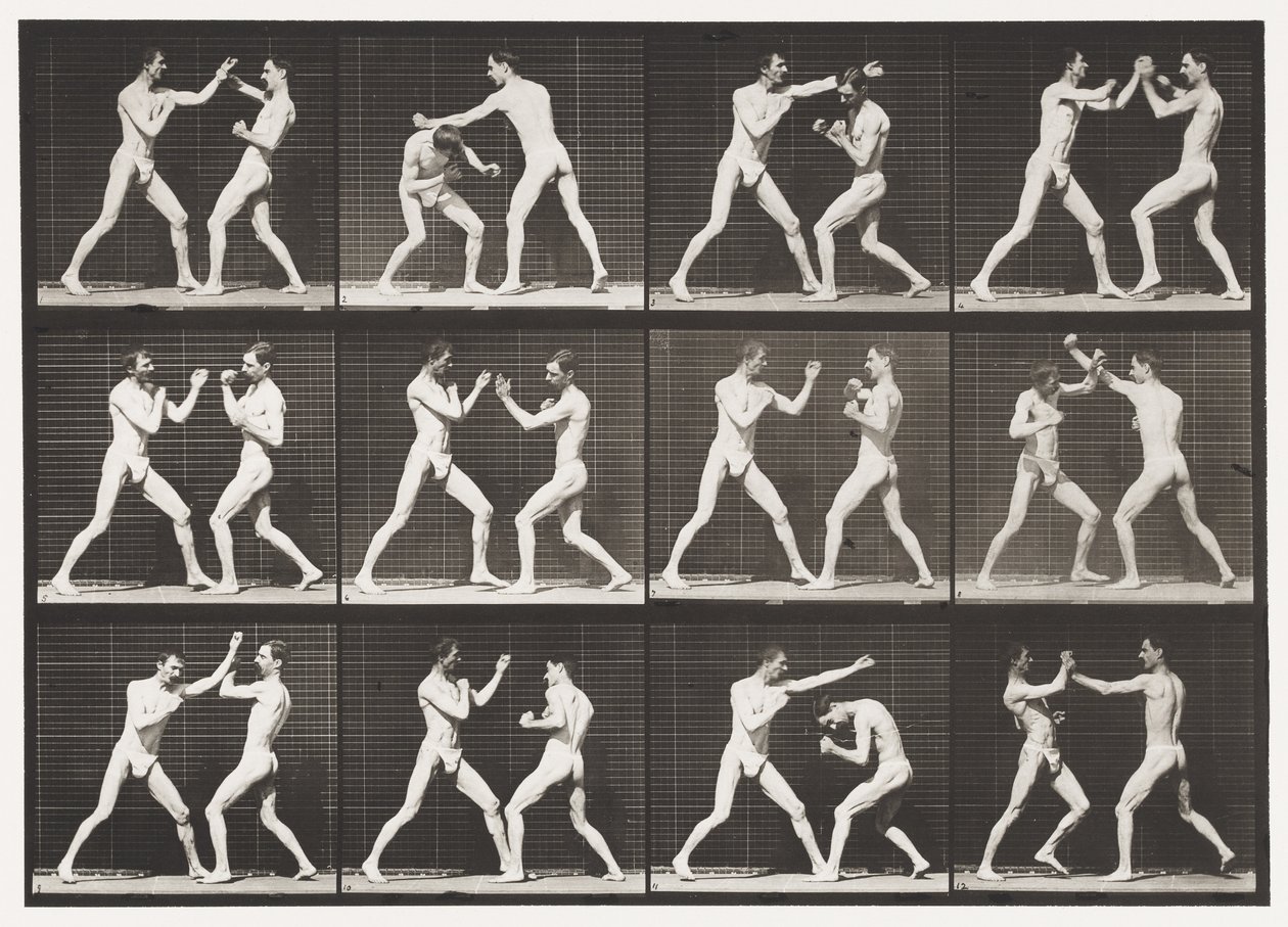 Tavle 336. Boksning; Åben hånd (sko) af Eadweard Muybridge