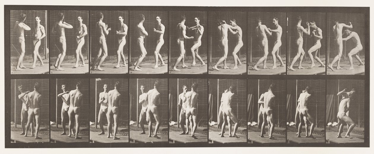 Tavle 339. Boksning; Åben hånd af Eadweard Muybridge