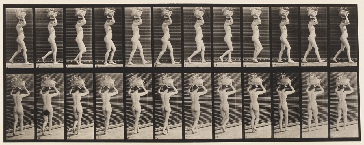 Plade 33. Gående, 14-lb. Kurv på hovedet, hævede hænder, 1872-1885 af Eadweard Muybridge