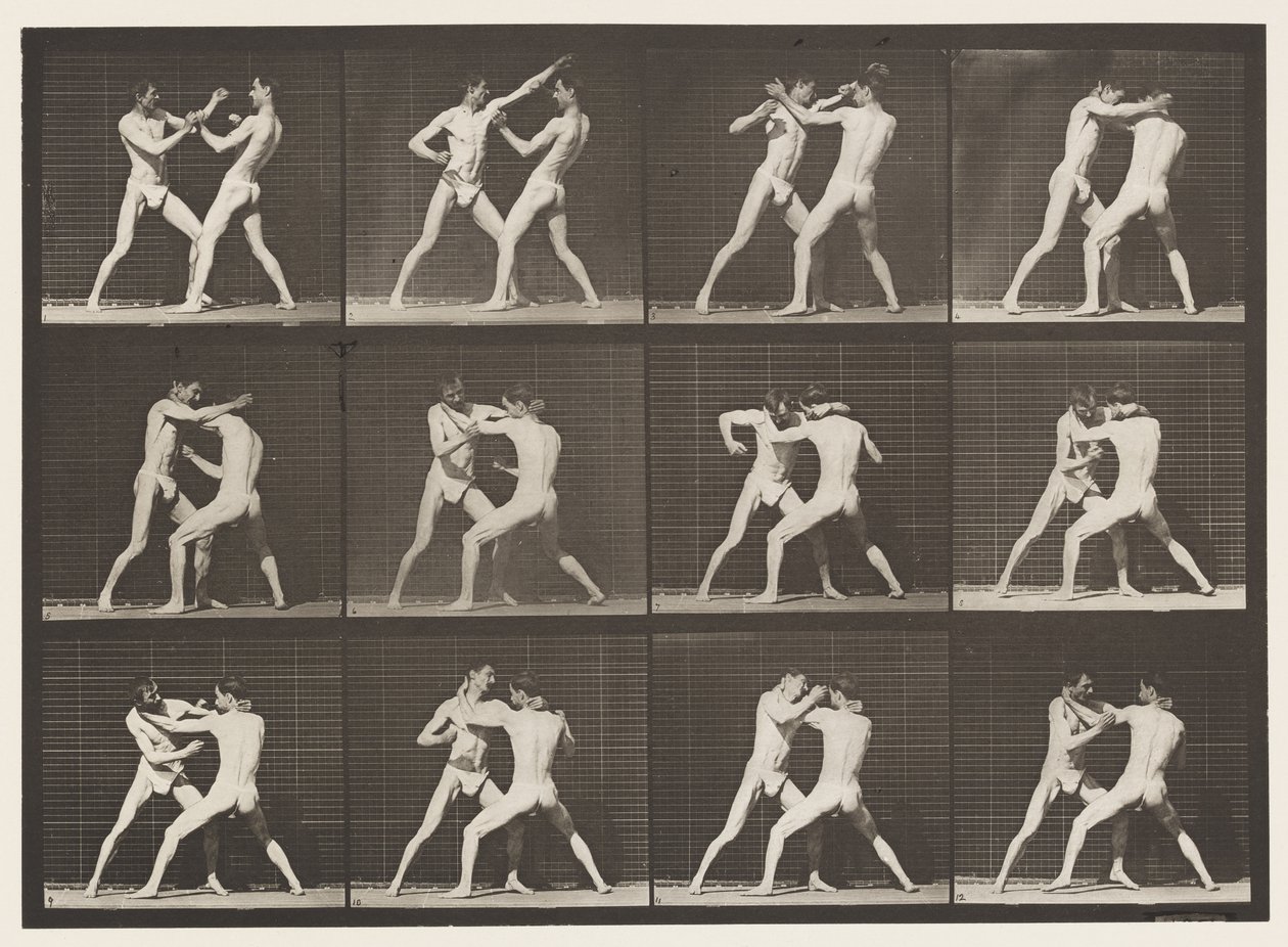 Tallerken 340. Boksning; Åben hånd af Eadweard Muybridge