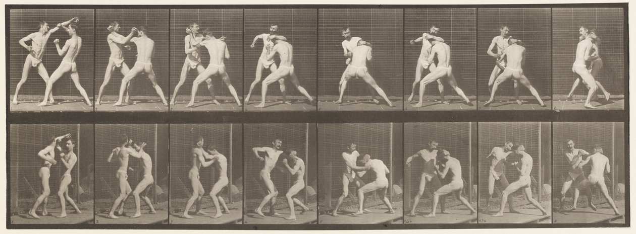 Tavle 342. Boksning; Åben hånd, 1872-1885 af Eadweard Muybridge