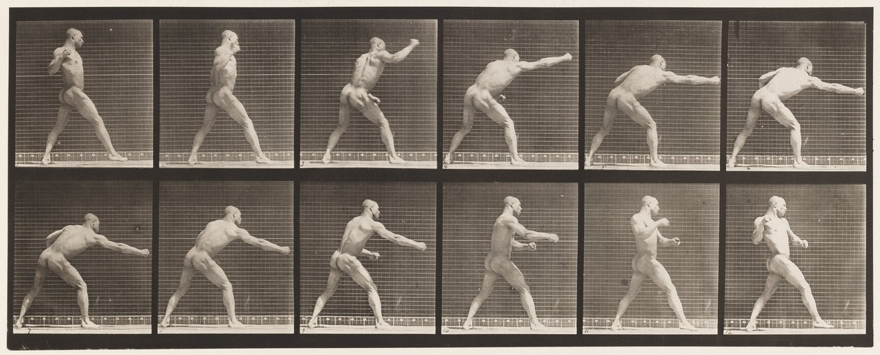 Plade 344. Slå et slag (højre hånd) af Eadweard Muybridge