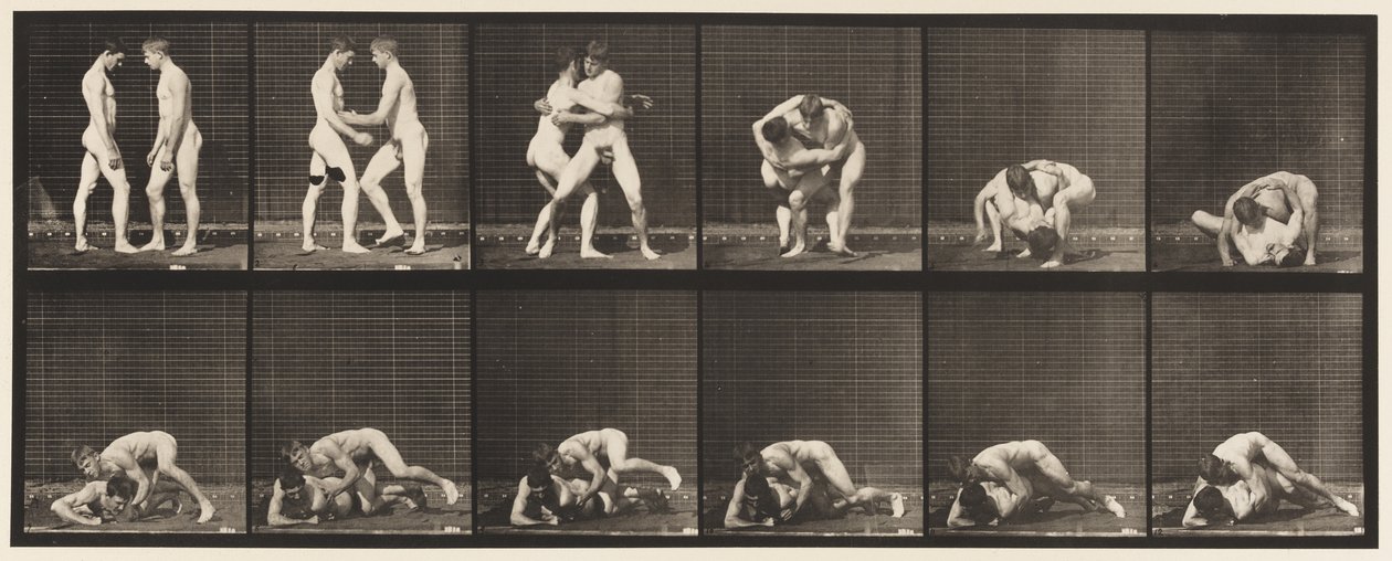 Plade 345. Brydning, Lås, 1885 af Eadweard Muybridge