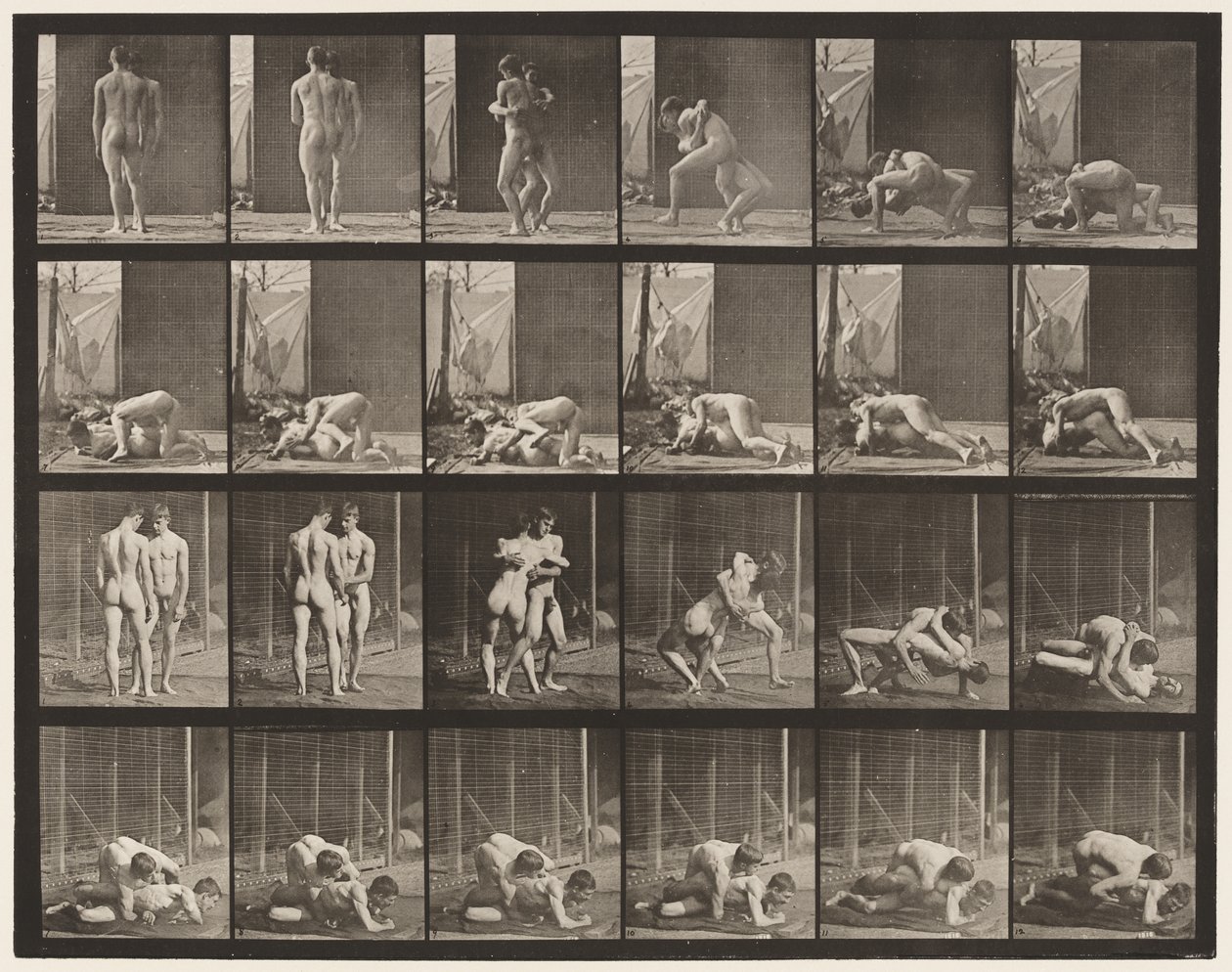 Tavle 346. Brydning, Lås af Eadweard Muybridge