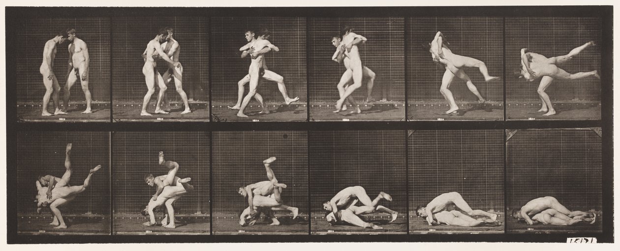 Tavle 347. Wrestling, græsk-romersk, 1885 af Eadweard Muybridge