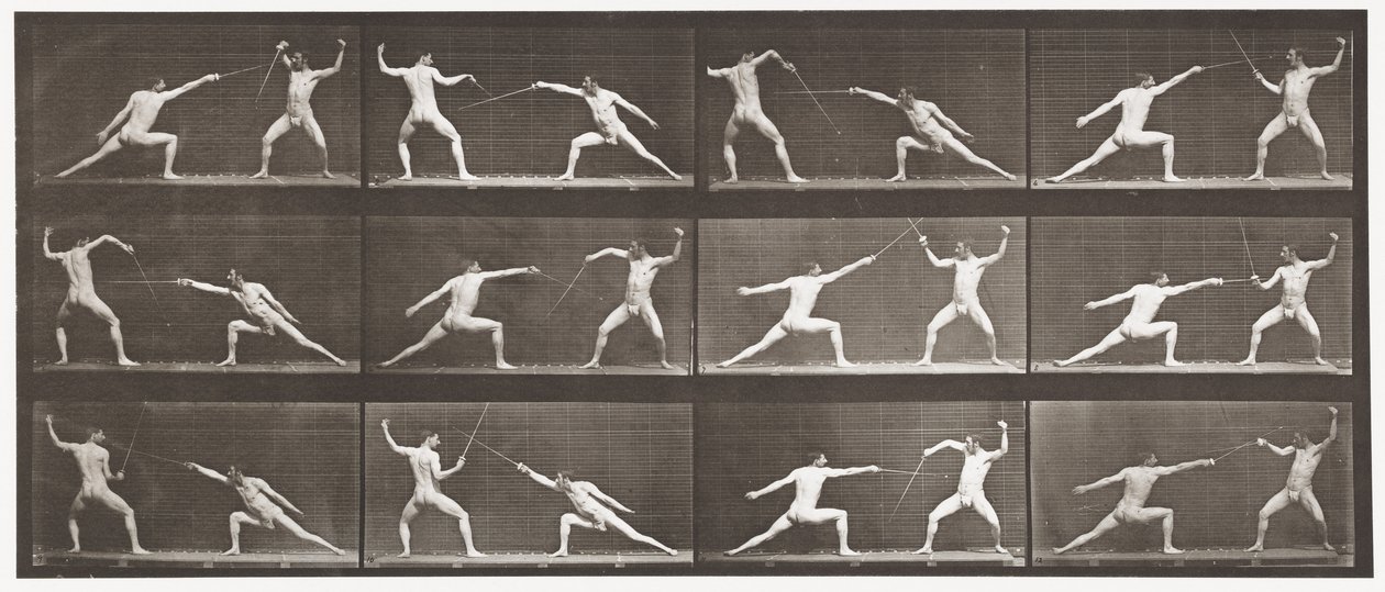 Tavle 349. Fægtning, 1872-1885 af Eadweard Muybridge