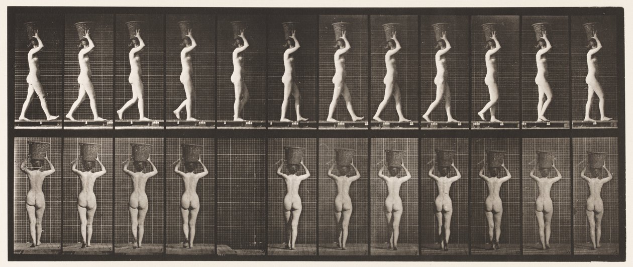 Tavle 34. Gå af Eadweard Muybridge