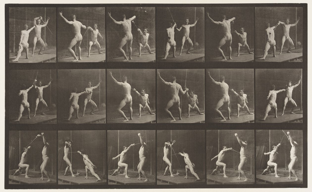 Plade 350. Fægtning af Eadweard Muybridge