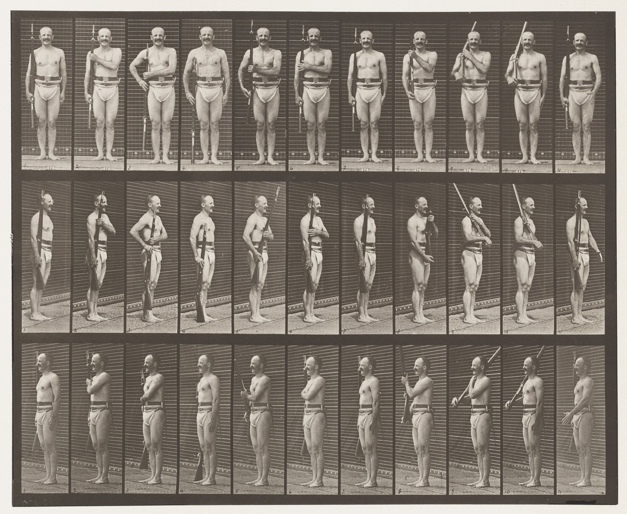 Plade 352. Skulder-, ordens- og bærearme af Eadweard Muybridge