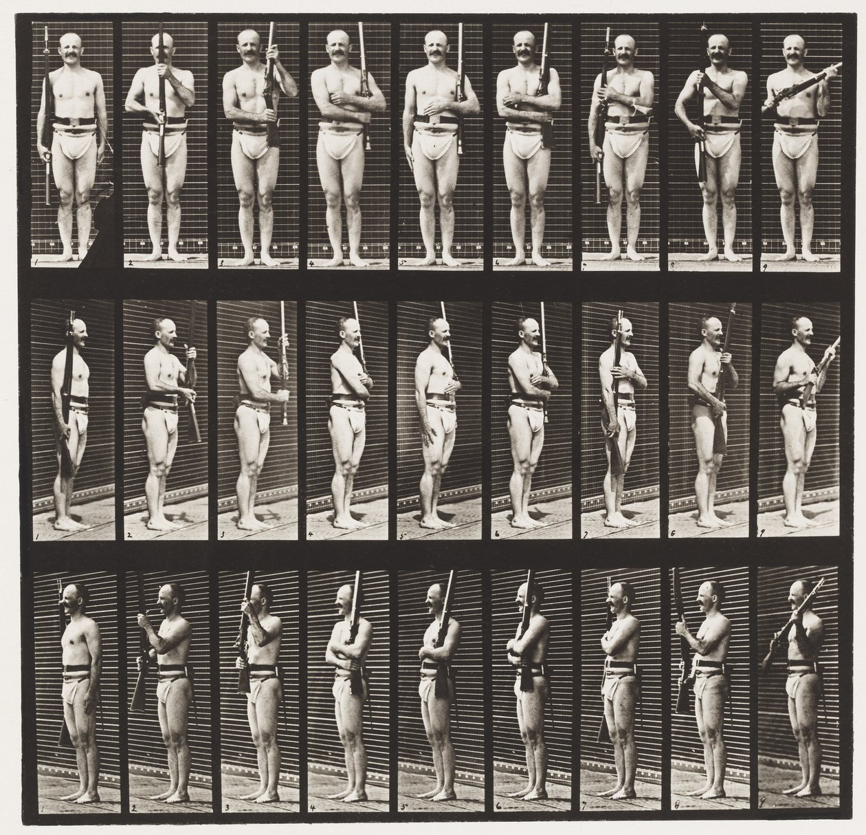 Plade 353. Støttearme og våbenhavn, 1872-1885 af Eadweard Muybridge