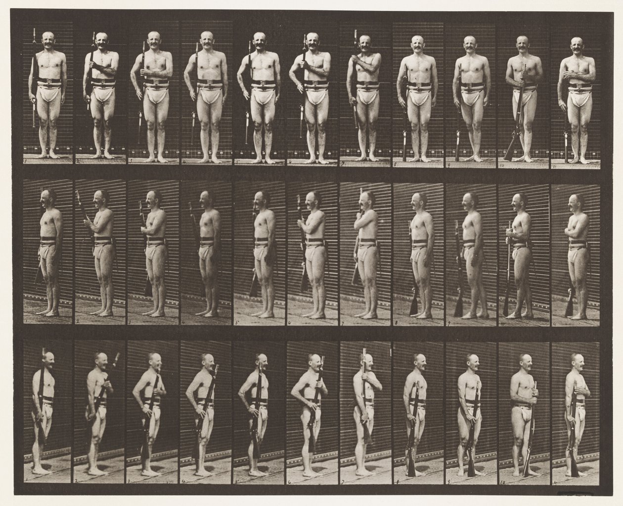 Plade 354. Bærearme, Paradestøtte og Trailarme af Eadweard Muybridge