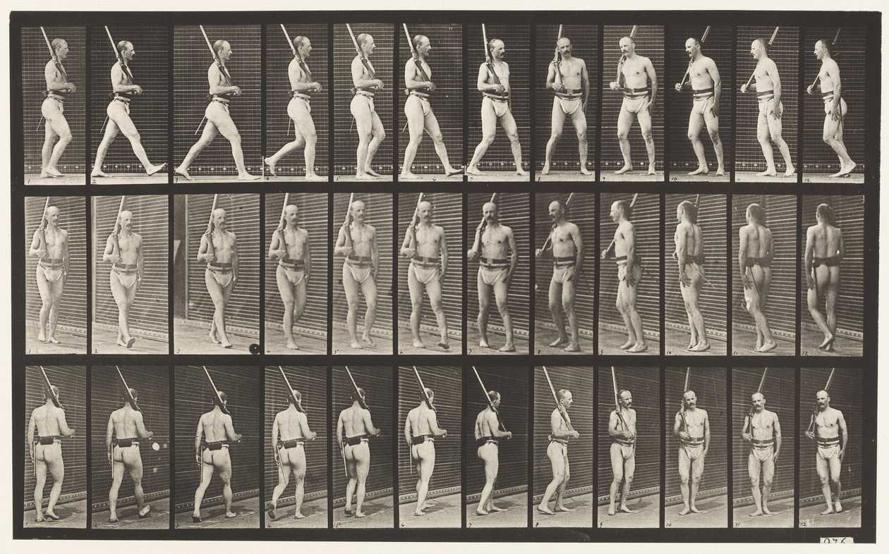 Tavle 355. På vagt, gang og vending af Eadweard Muybridge