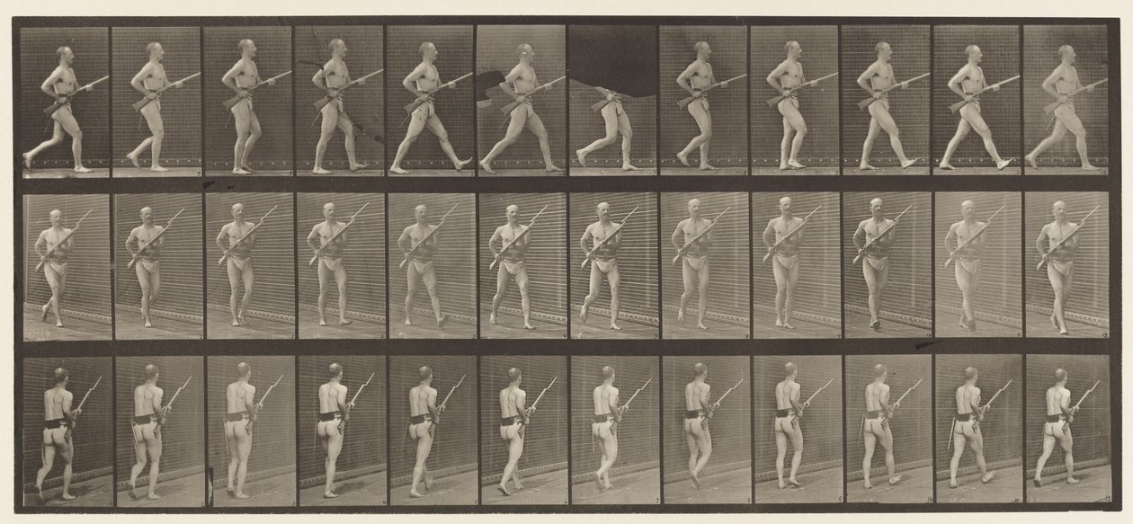 Plade 359. Ladebajonet, 1872-1885 af Eadweard Muybridge