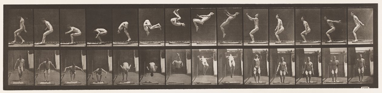 Plade 362. Rygsalto af Eadweard Muybridge