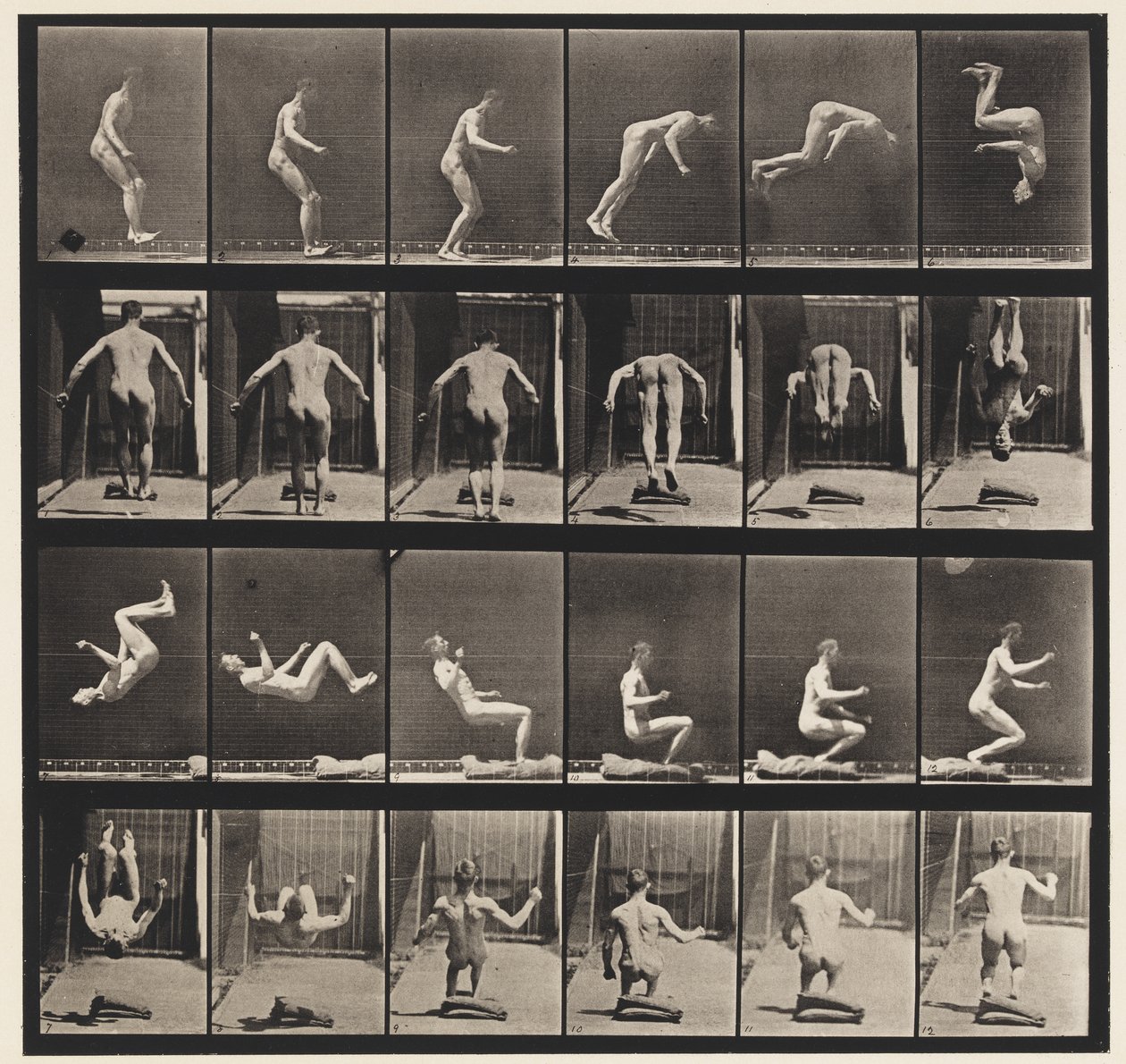 Plade 363. Løbende saltomortale, 1885 af Eadweard Muybridge